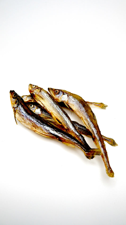 Smelt Fish